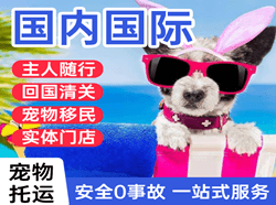 鞍山机场快递国际宠物托运 【国